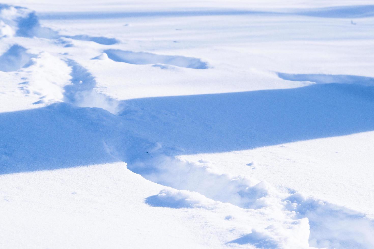 footprints and long shadows on a snow surface in the bright winter day photo