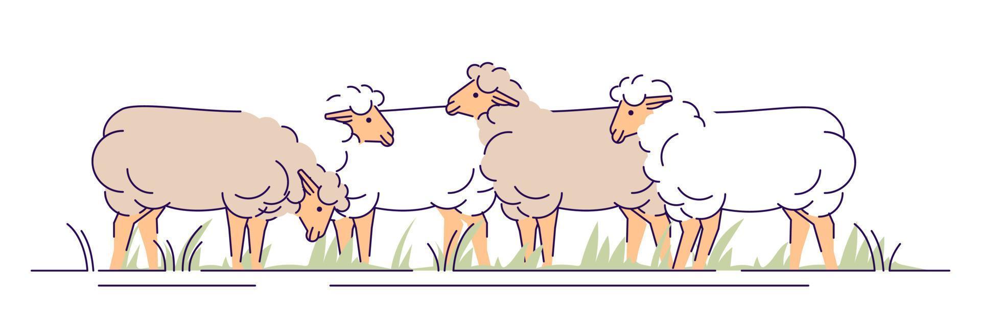 rebaño de ovejas en la ilustración de vector plano de pasto. ganadería, concepto de dibujos animados de cría de animales con contorno. pastoreo de ovejas. elemento de diseño aislado de producción de carne de cordero y lana de oveja