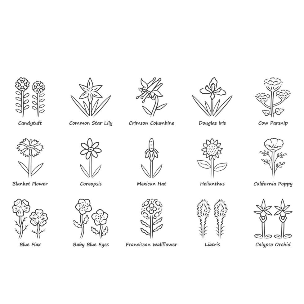Wild flowers linear icons set. Spring blossom. California wildflowers with names. Garden blooming plants inflorescences. Botanical bundle. Thin line contour symbols. Isolated vector illustrations