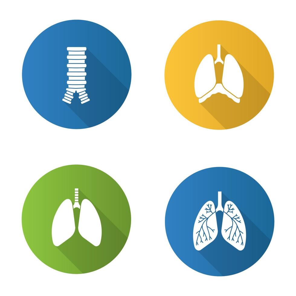 Internal organs flat design long shadow glyph icons set. Respiratory system. Trachea, lungs, bronchi, bronchioles, thoracic cavity, diaphragm. Vector silhouette illustration