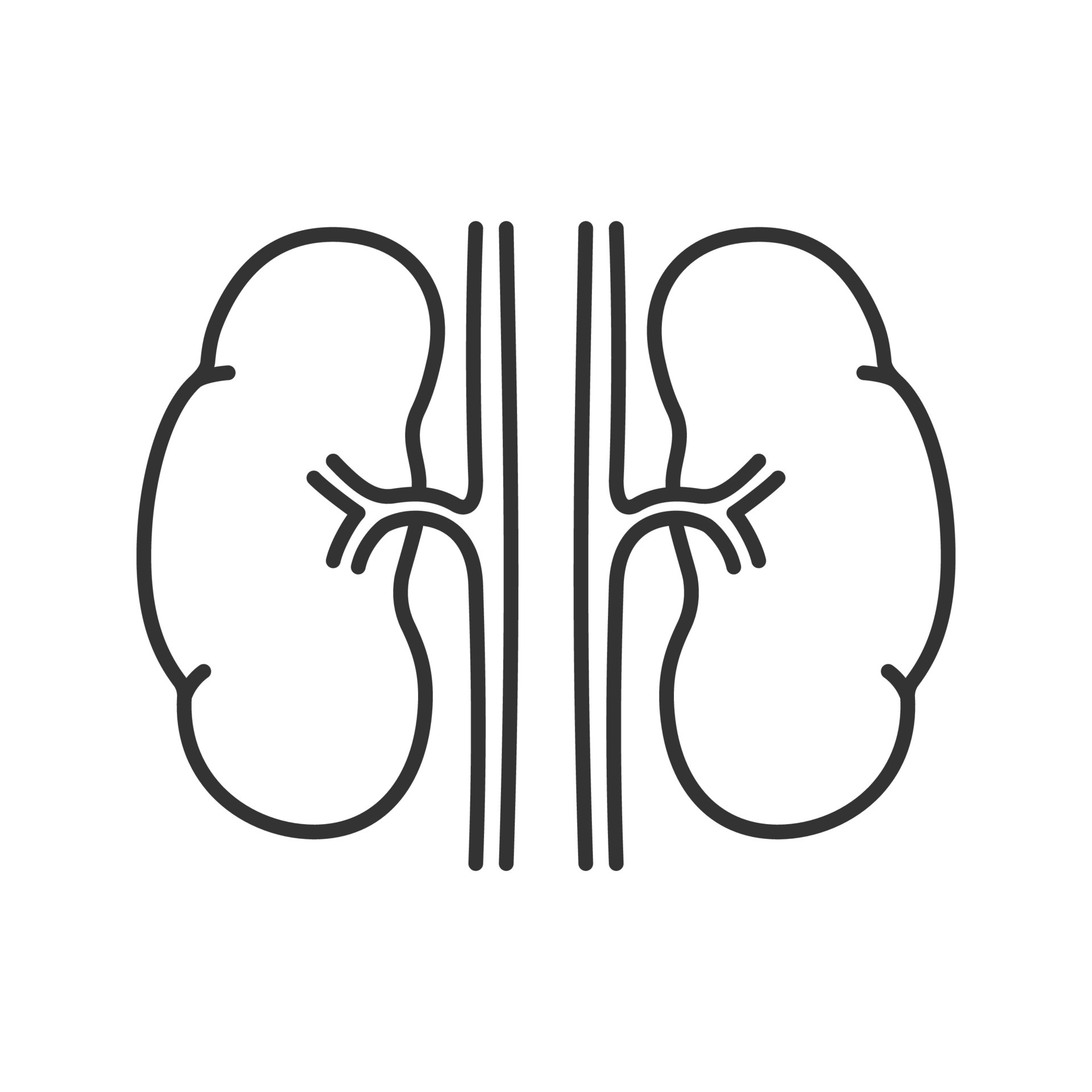 3d image render of diagram of human kidney anatomy for biology science  education Stock Photo Picture And Low Budget Royalty Free Image Pic  ESY059512777  agefotostock