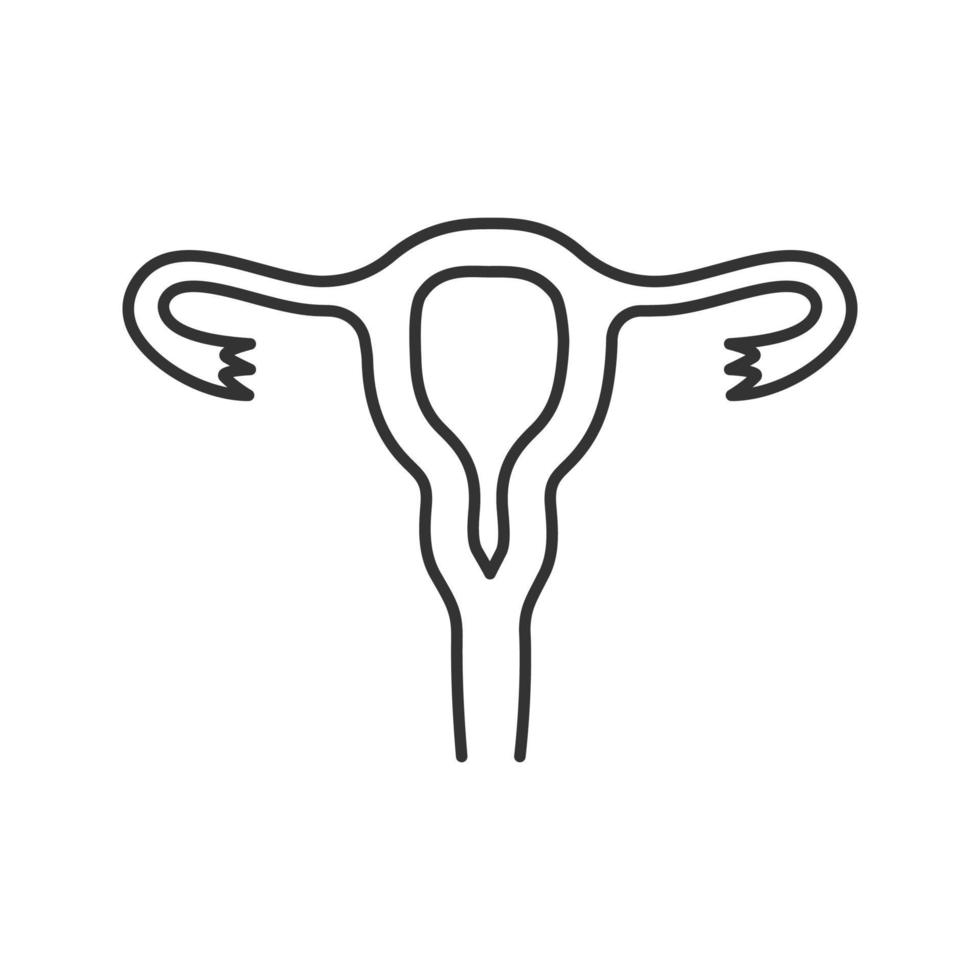 Uterus, fallopian tubes and vagina linear icon. Thin line illustration. Female reproductive system. Contour symbol. Vector isolated outline drawing