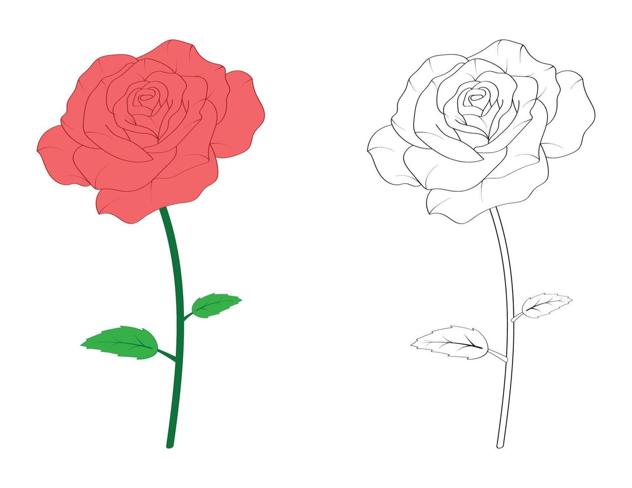 Red rose for coloring page vector