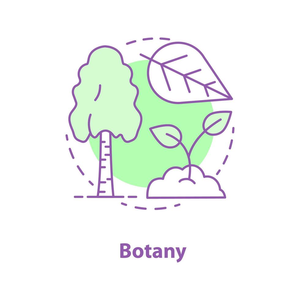 Botany concept icon. Science idea thin line illustration. Plant biology. Birch tree, leaf, sprout. Vector isolated outline drawing