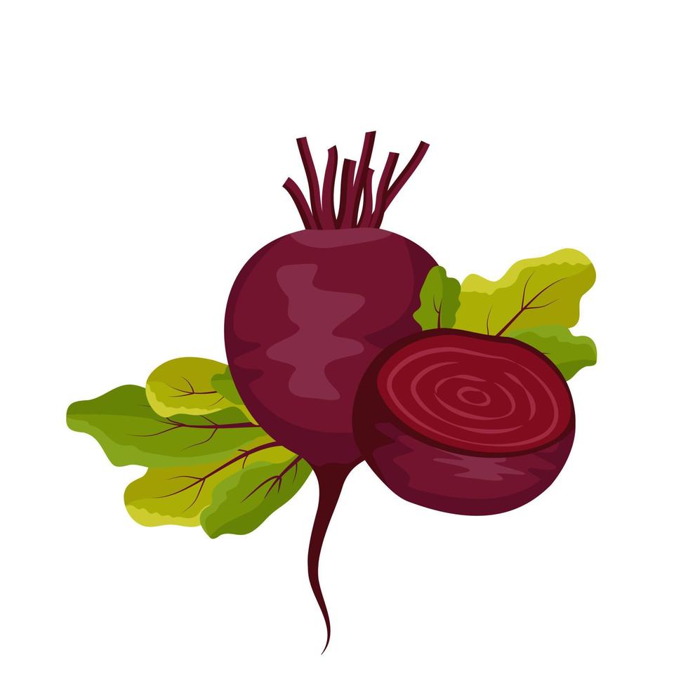Red beet icon. Whole healthy vegetables, half and green leaves of tops. Delicious food for salad, soup, borscht. Vector flat illustration