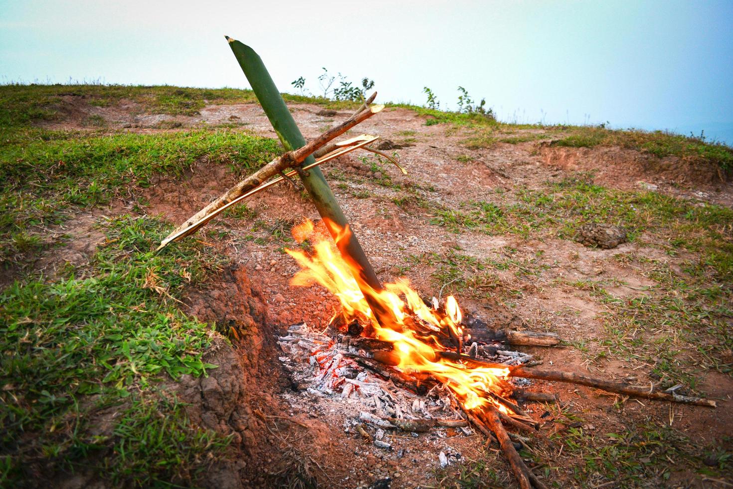 bambú quemar en el fuego para la comida hervida cocinar naturaleza supervivencia el bosque foto