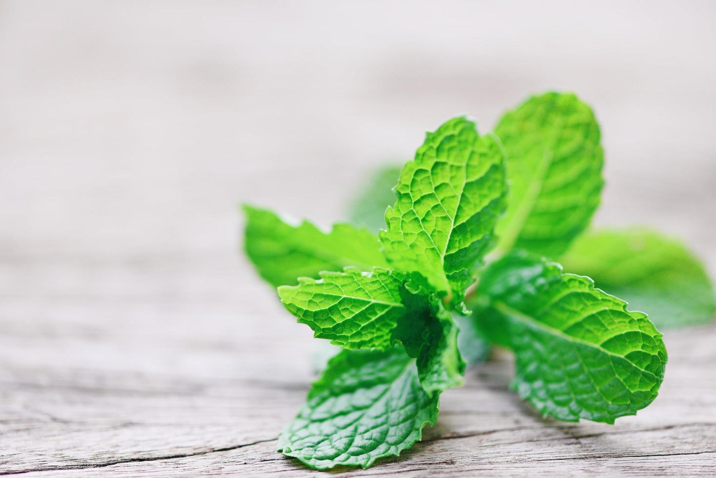 hoja de menta sobre fondo de madera - hojas de menta fresca naturaleza hierbas verdes o alimentos vegetales foto