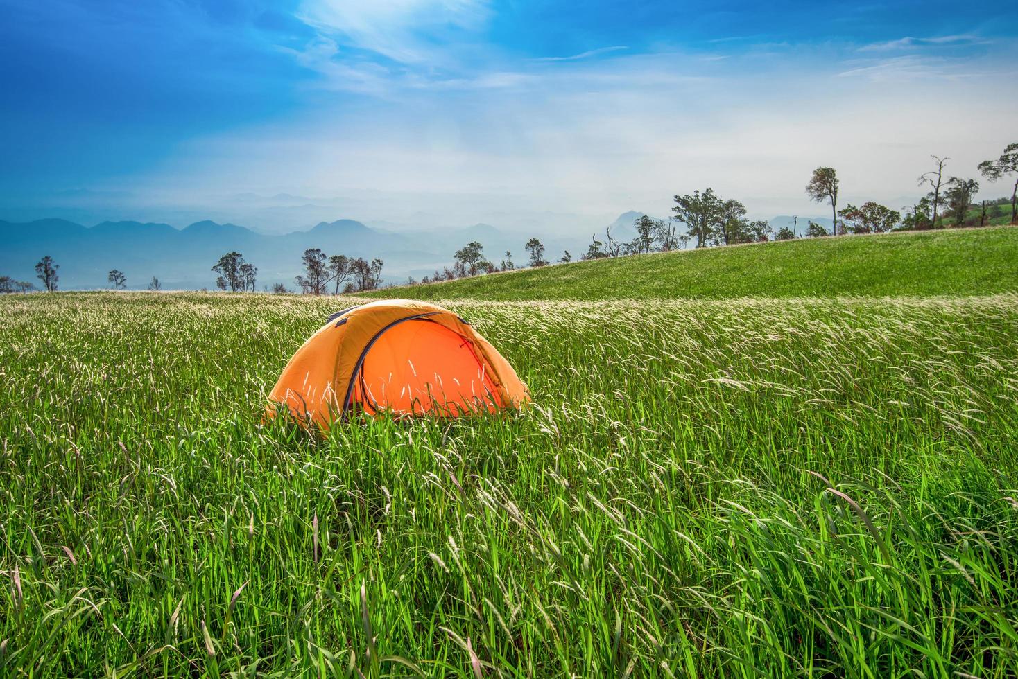 Tent area on hill bright day blue sky Landscape camping tents yellow on field in the forest in the morning photo