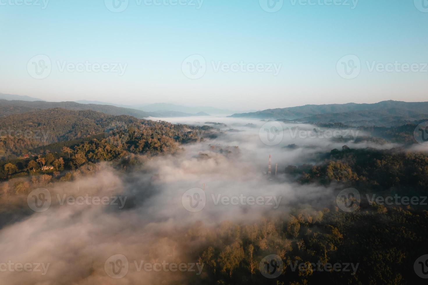 golden morning fog in the forest photo