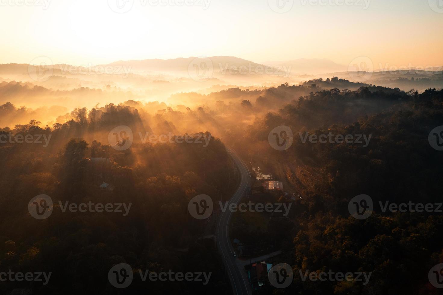 niebla dorada de la mañana en el bosque foto