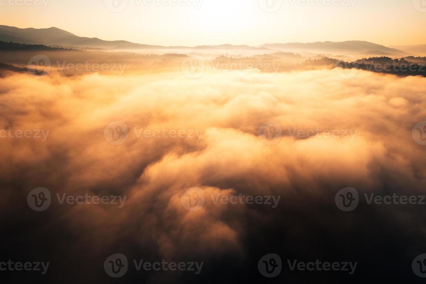 niebla dorada de la mañana en el bosque foto