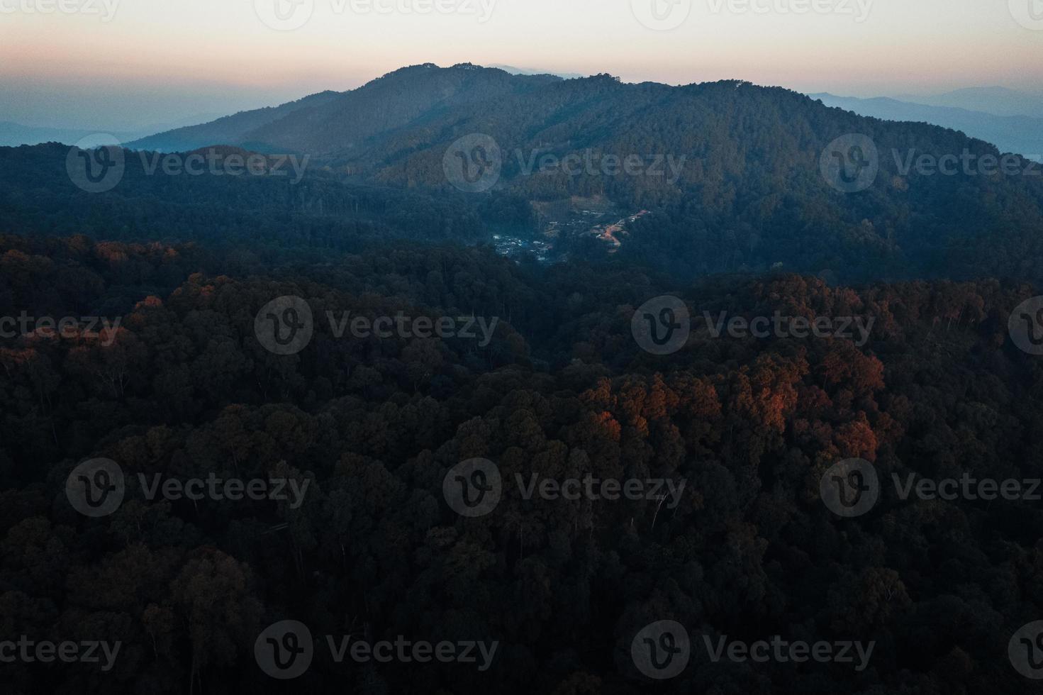 early morning sunrise in the forest photo