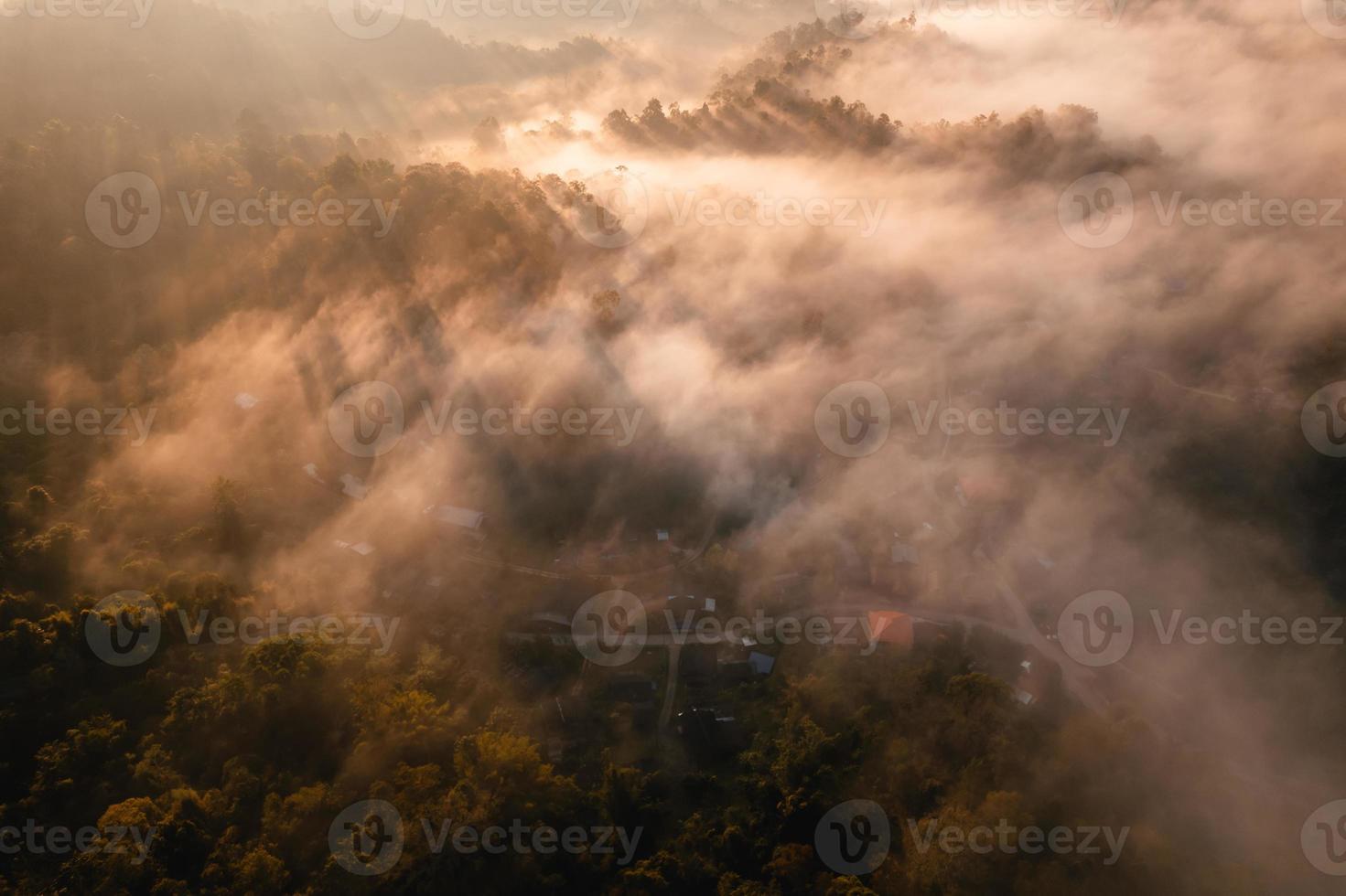 golden morning fog in the forest photo