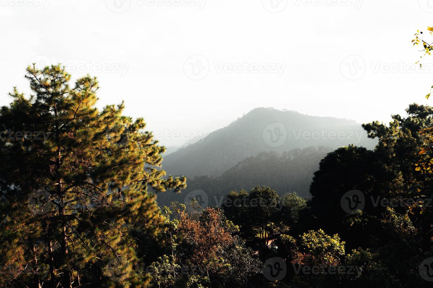 landscape mountain scenery in the evening photo