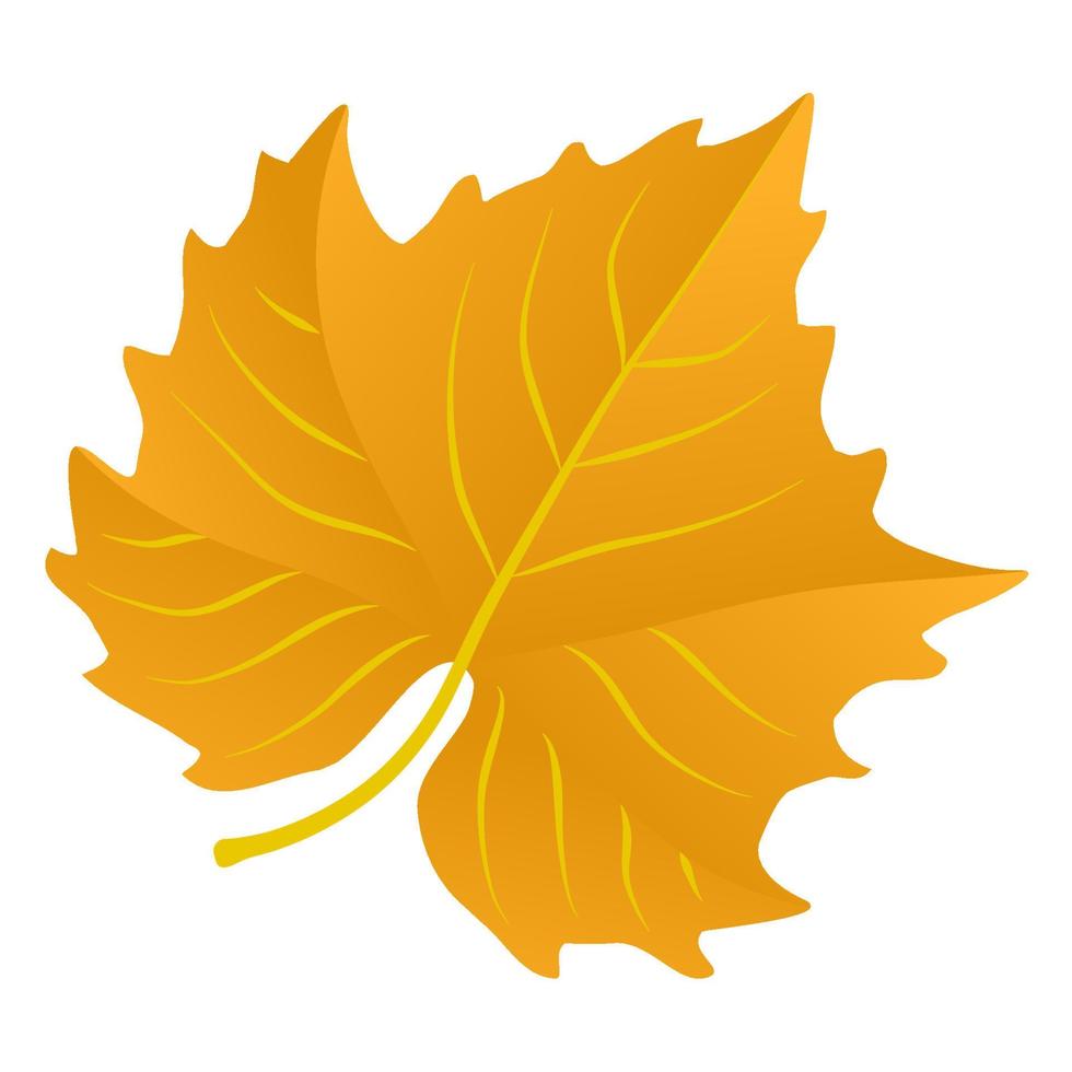 Autumn falling leaf. vector