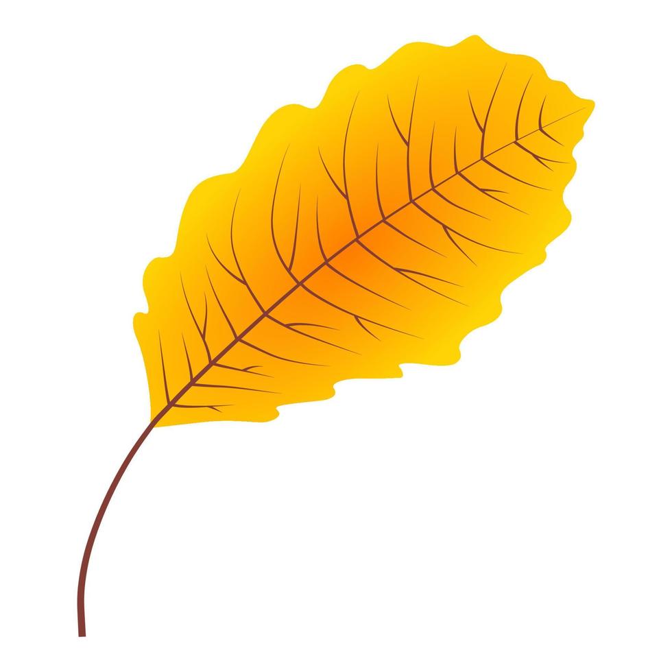 hoja caída de otoño. vector