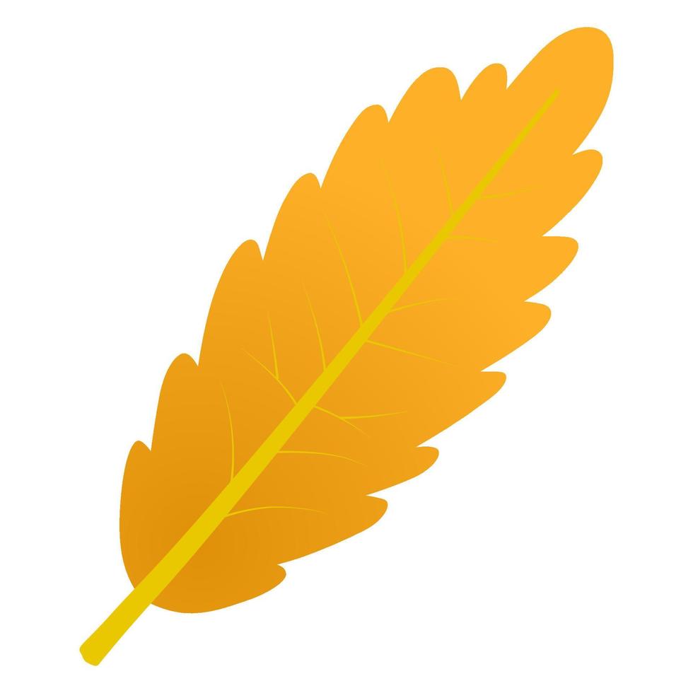 Autumn falling leaf. vector