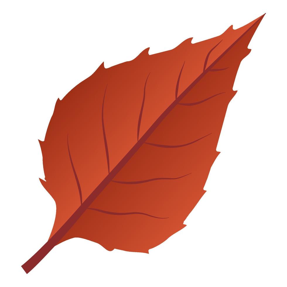 Autumn falling leaf. vector