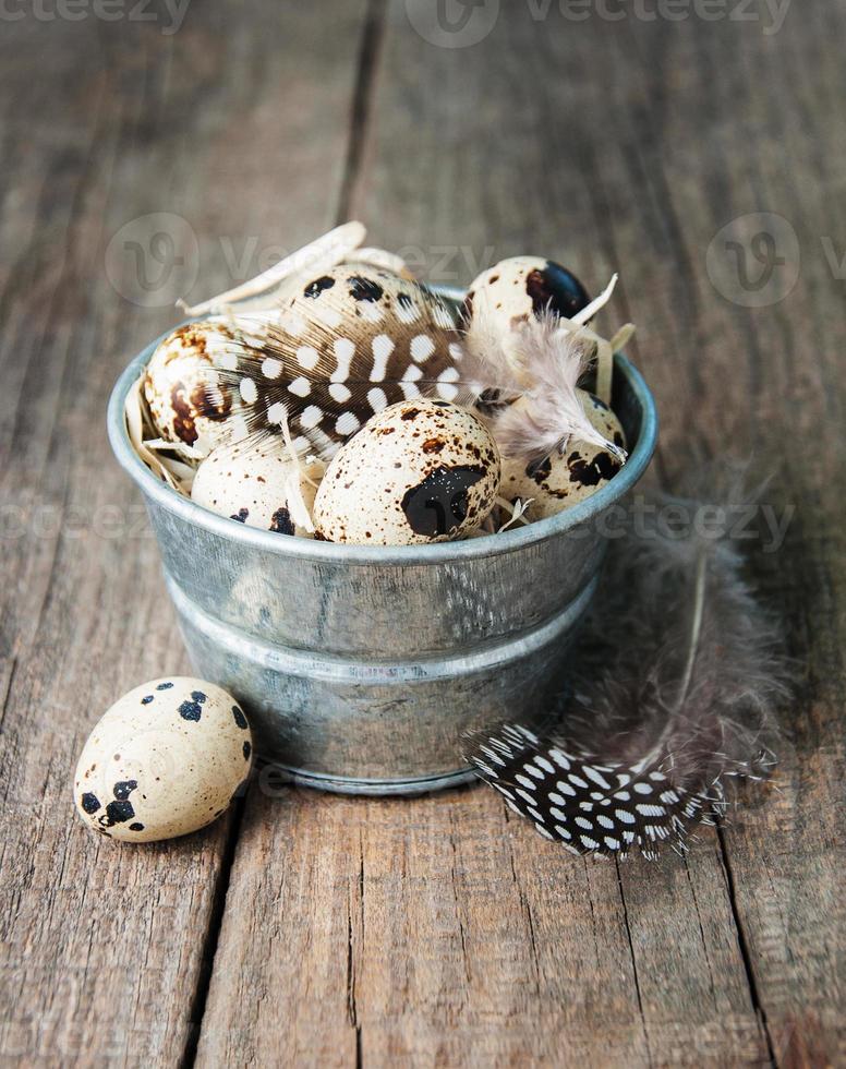 quail eggs in a metal bowl photo