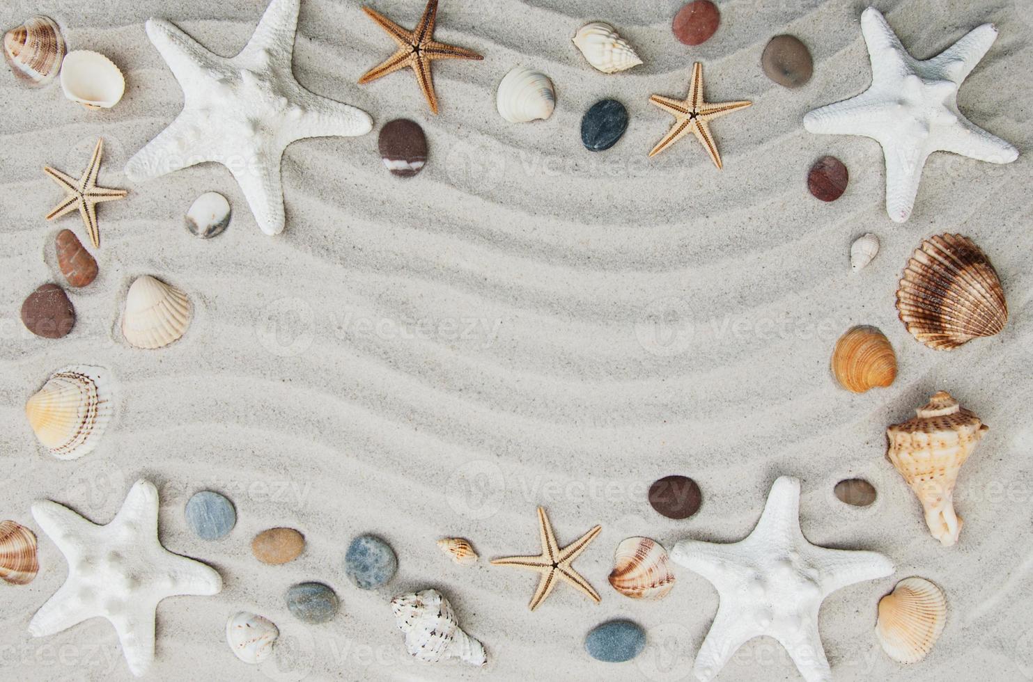 Seashells and starfish border photo