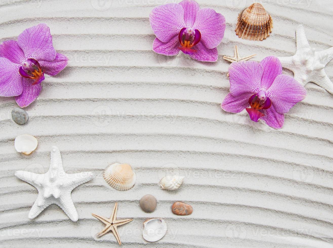 Seashells and starfish border photo