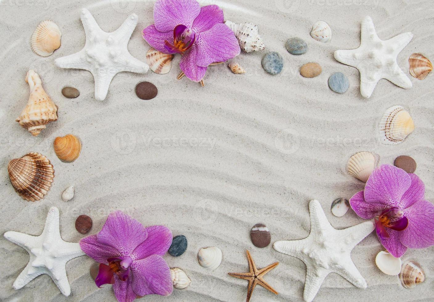 borde de conchas y estrellas de mar foto