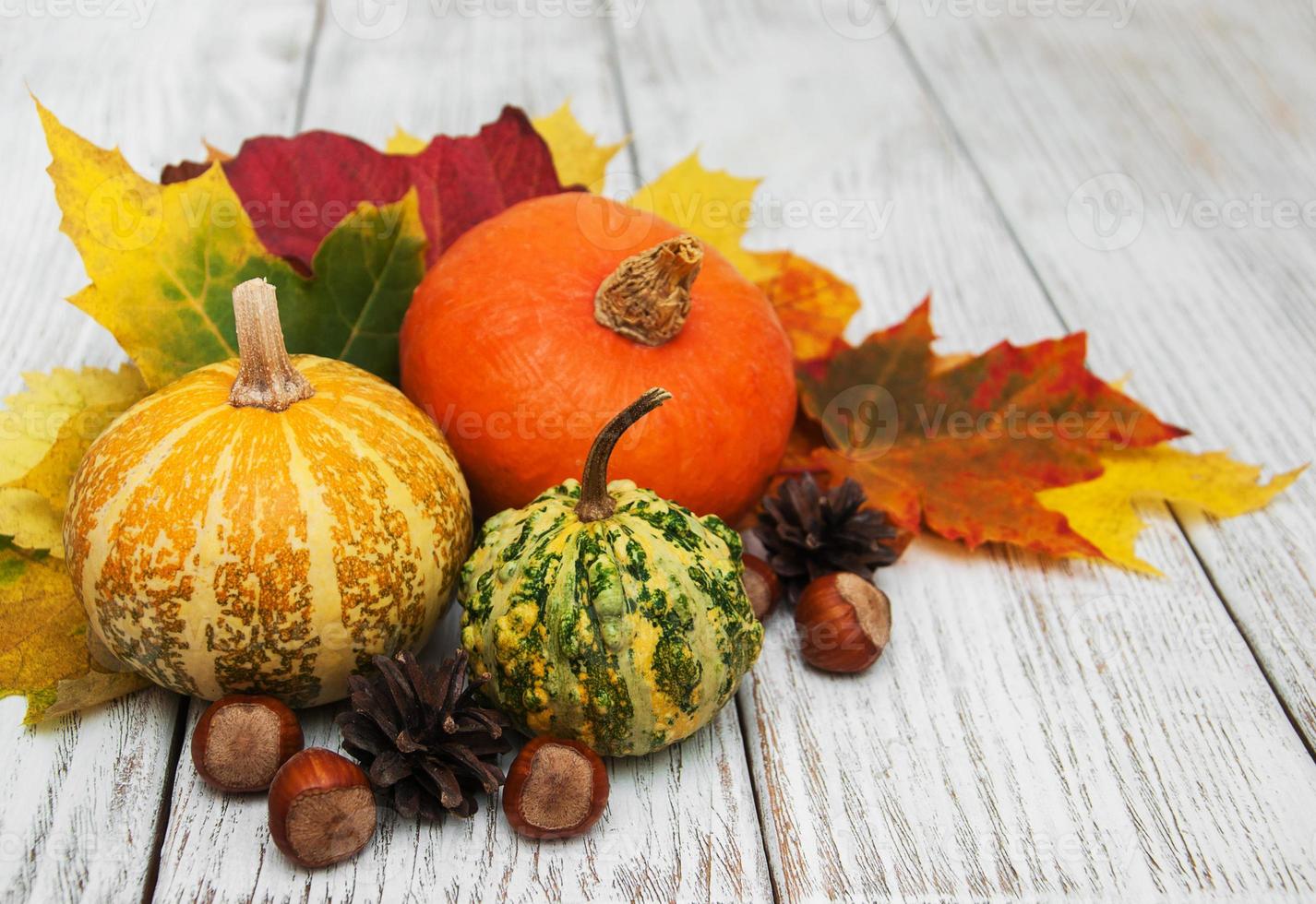 Pumpkin and leaves photo