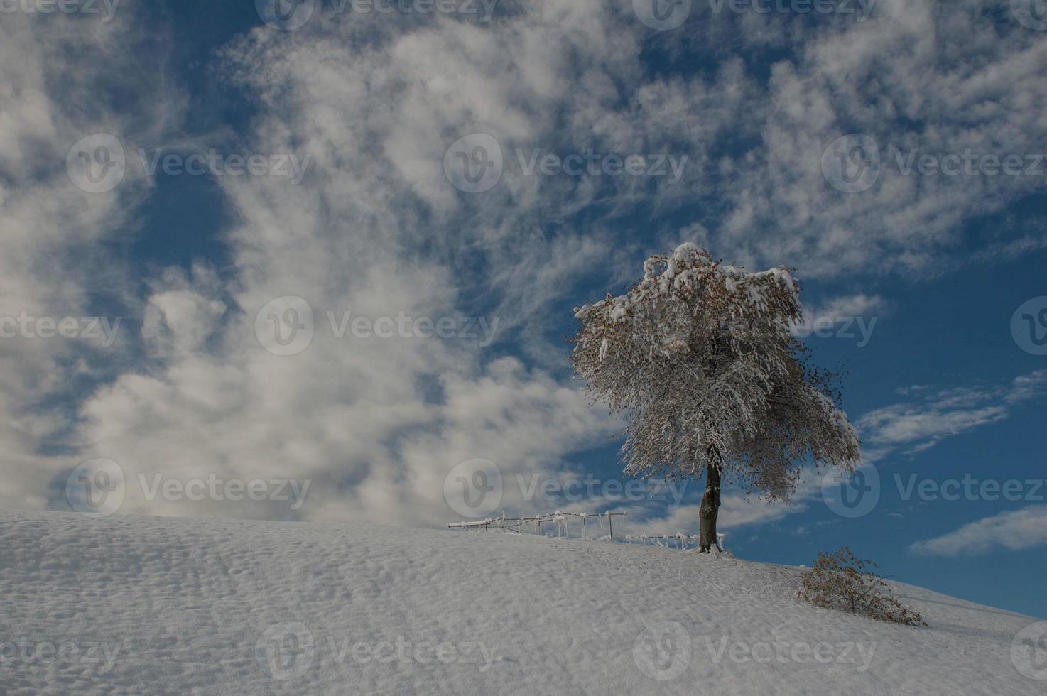 montañas después de la nevada foto