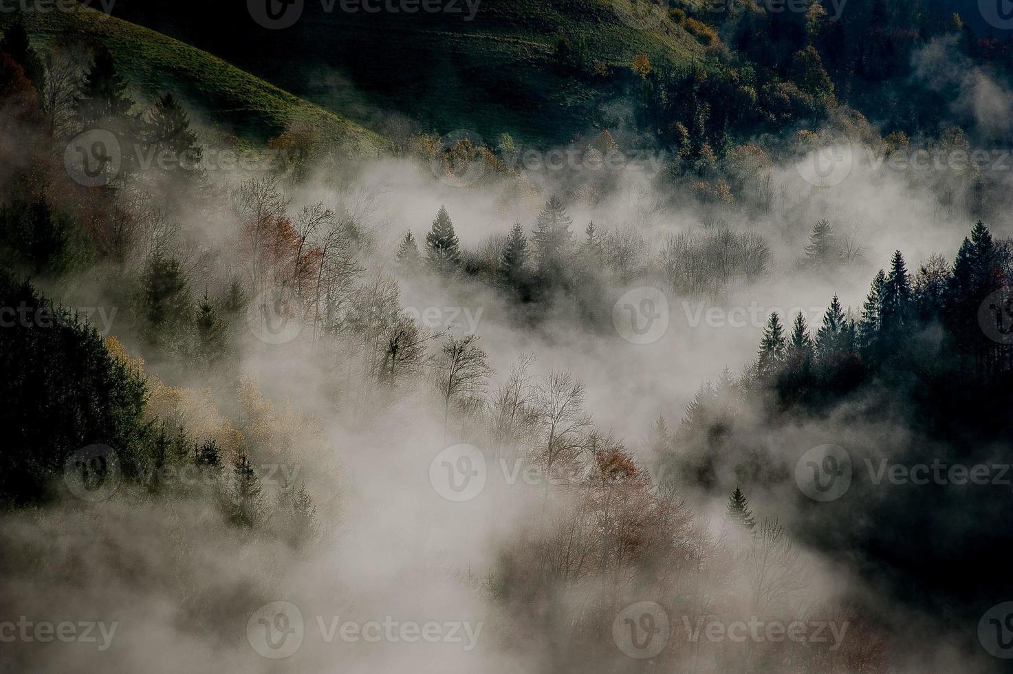 paisaje otoñal con niebla foto