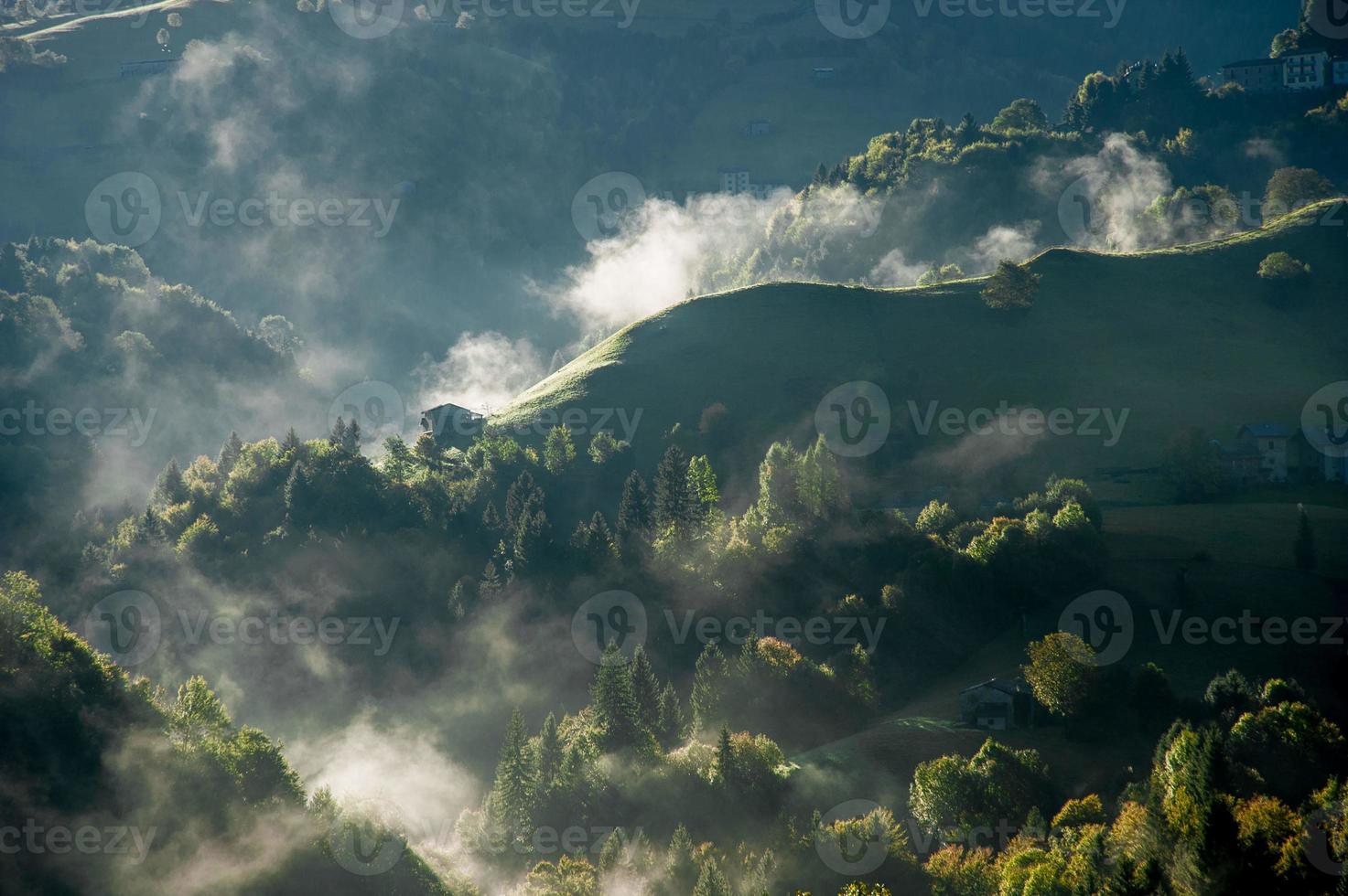 Colorful forest in autumn photo