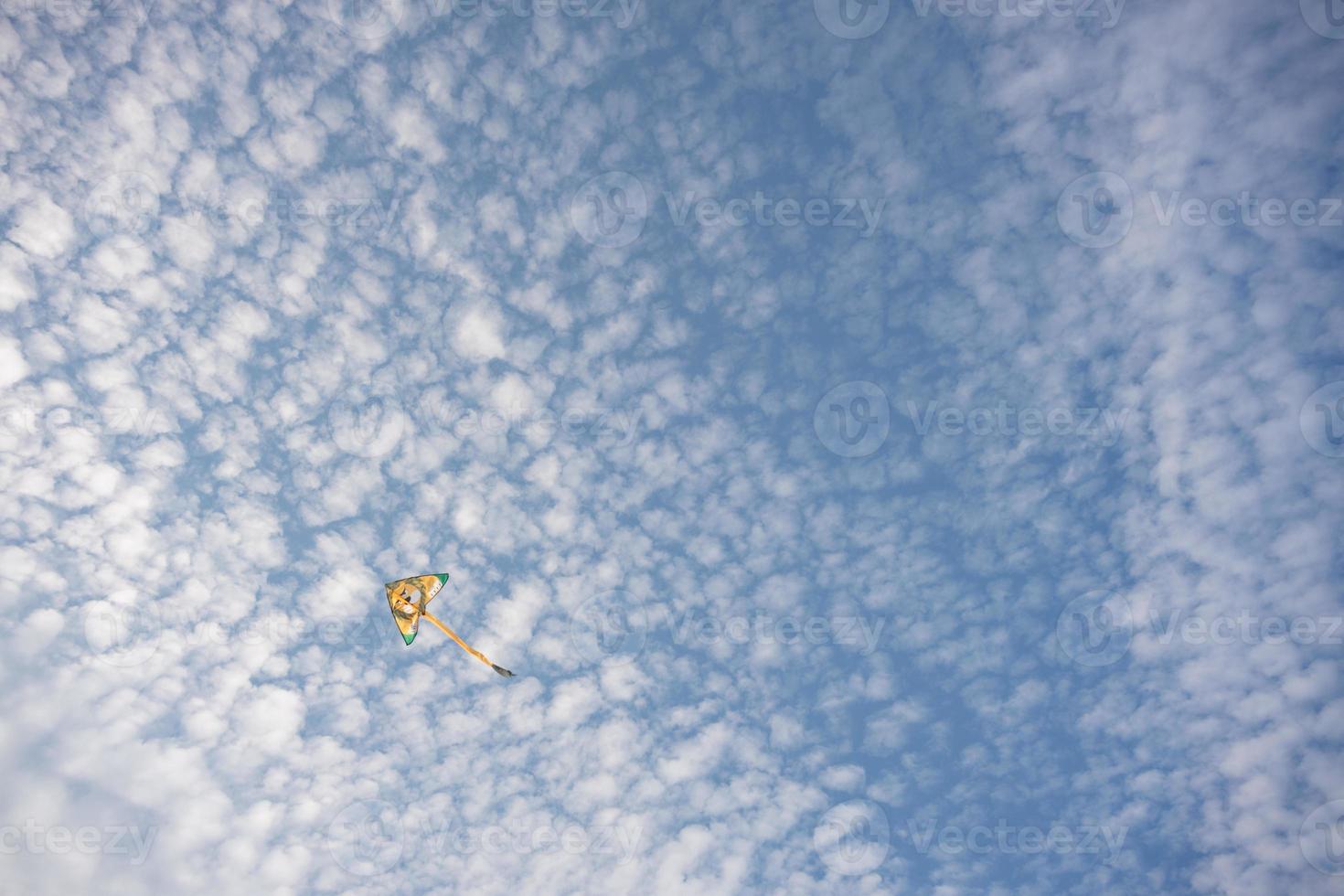 Kite with yellow lion painting with blue skies and white clouds in the background. photo