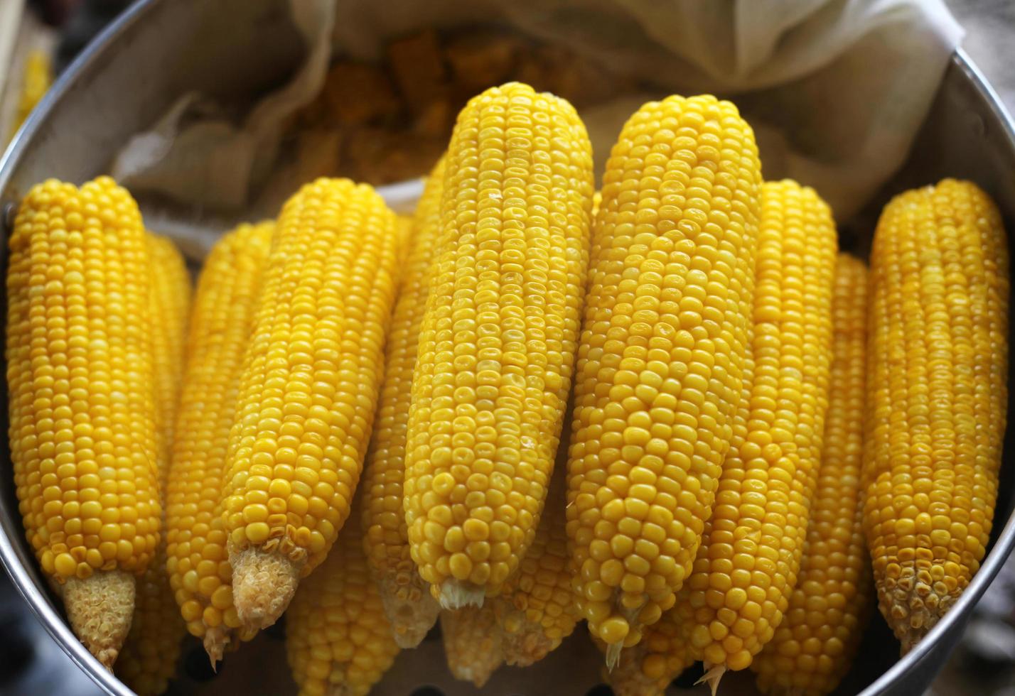 Closeup of sweet boiled corn photo