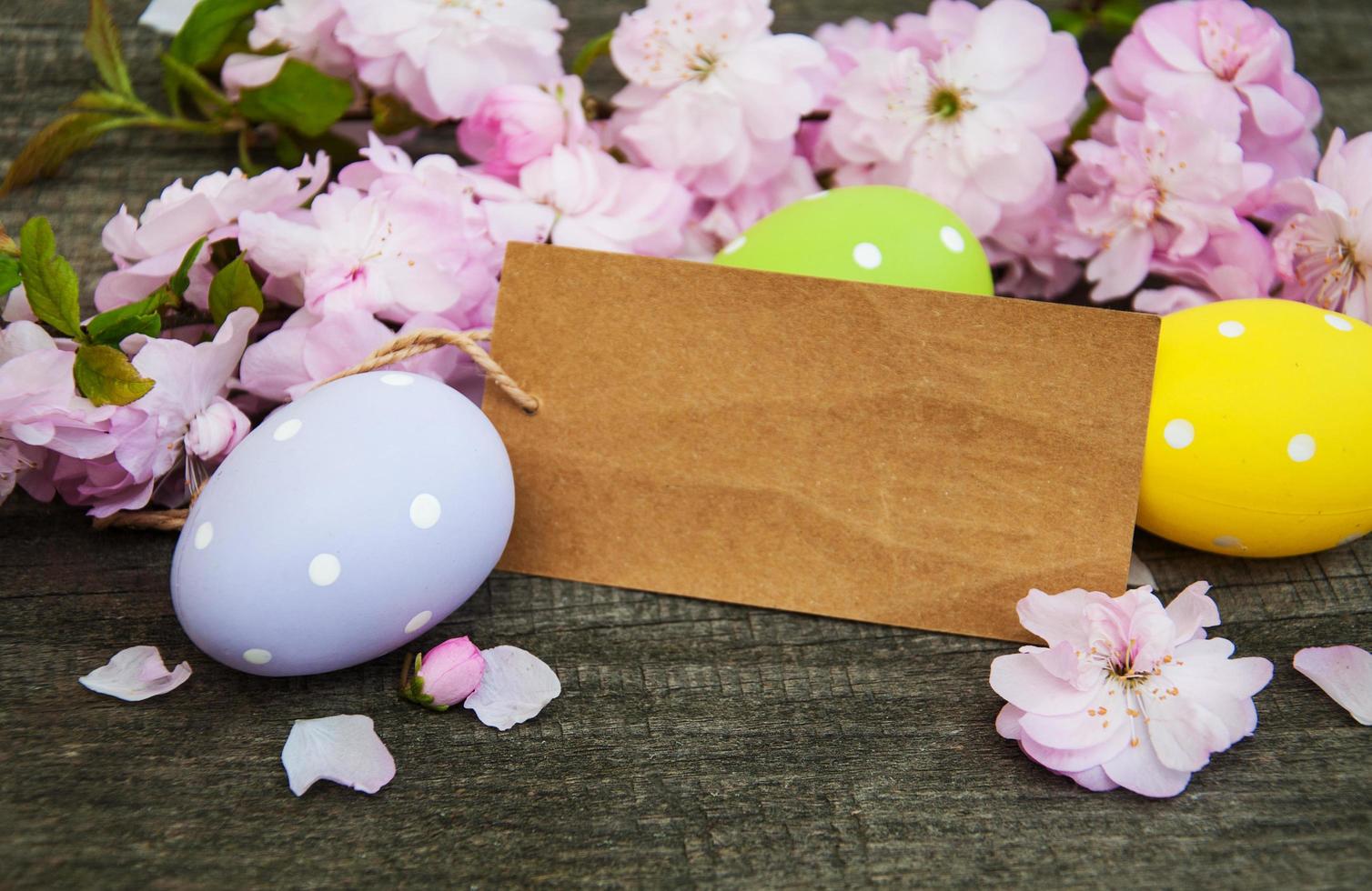 Easter eggs and greeting card photo