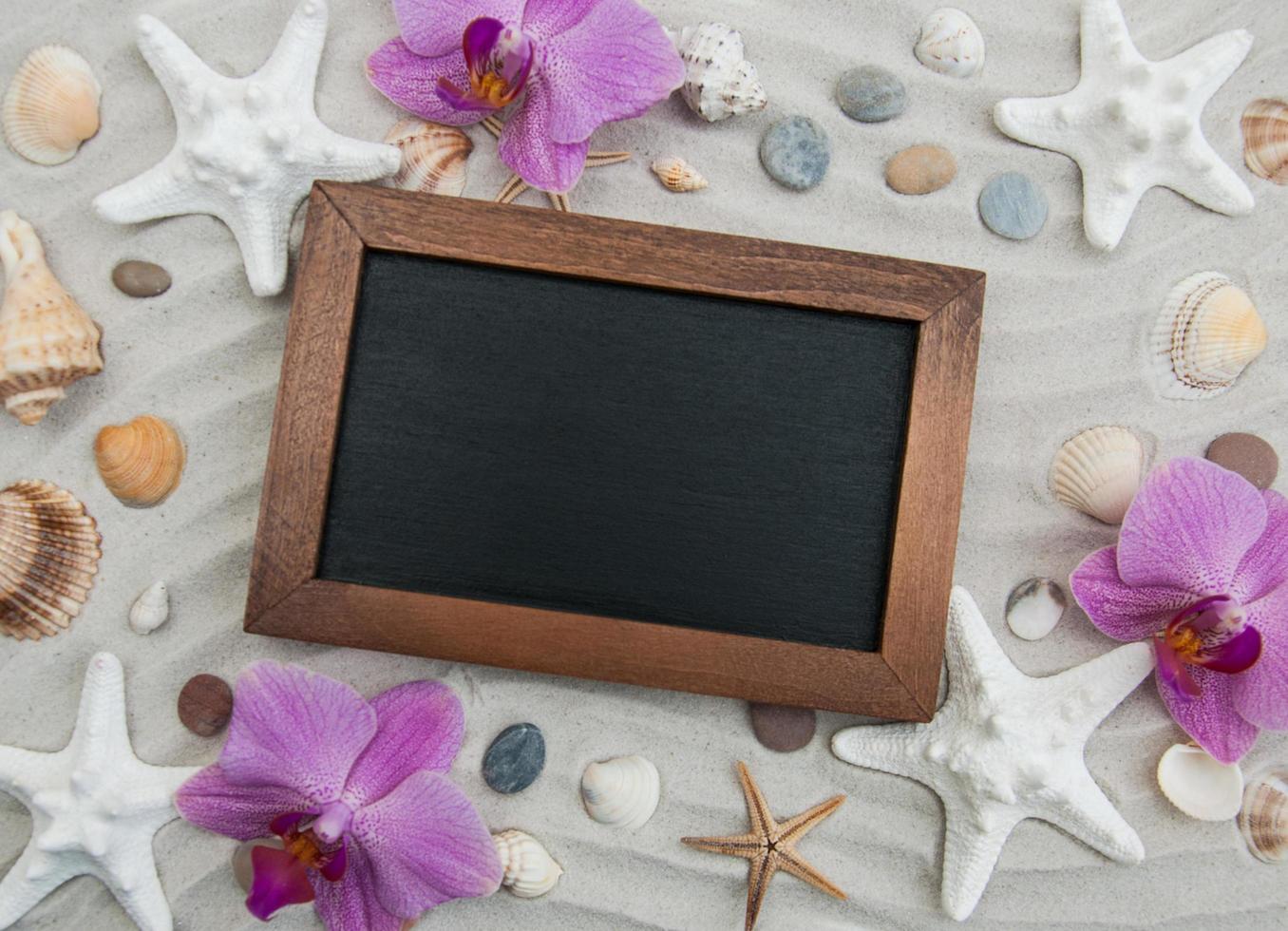 Seashells and starfish border photo