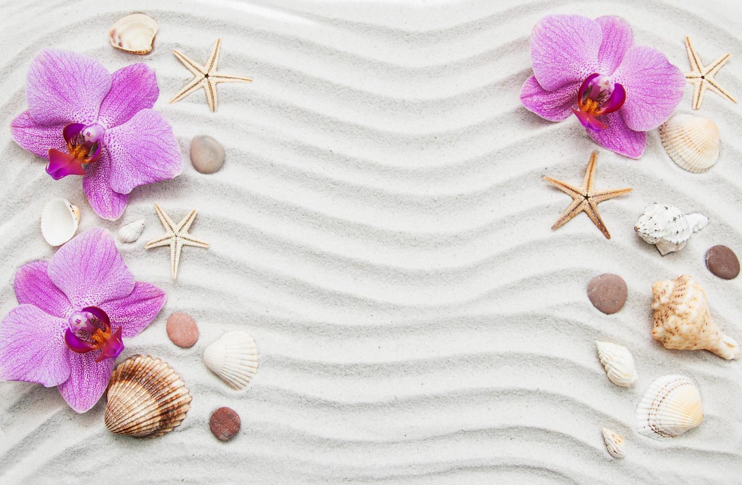 borde de conchas y estrellas de mar foto