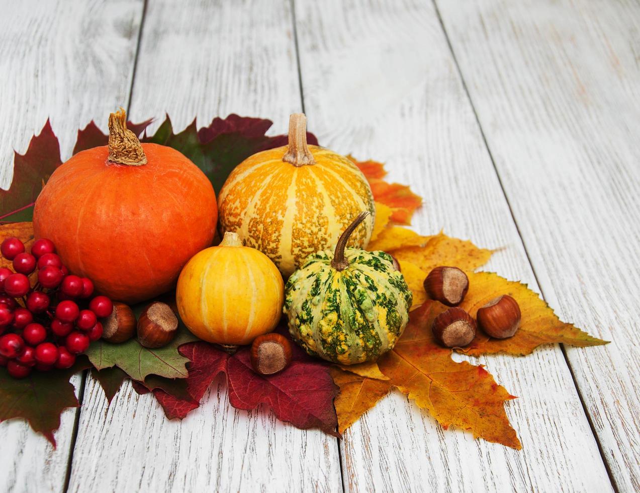 Pumpkin and leaves photo