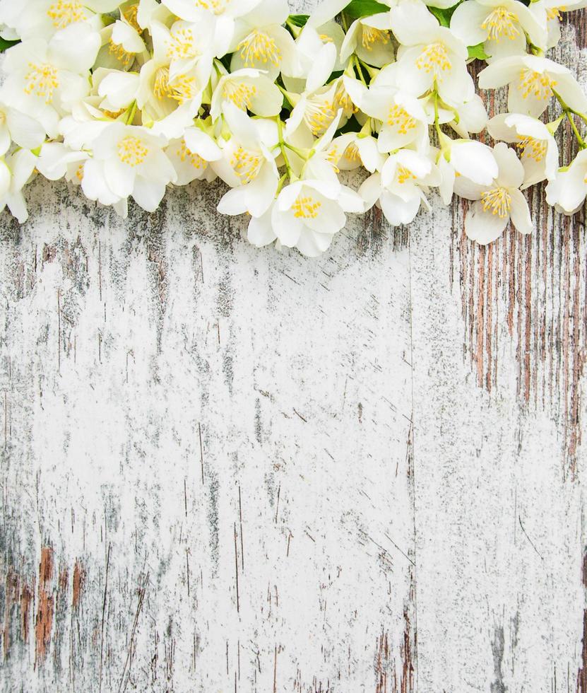 Border with jasmine flowers photo