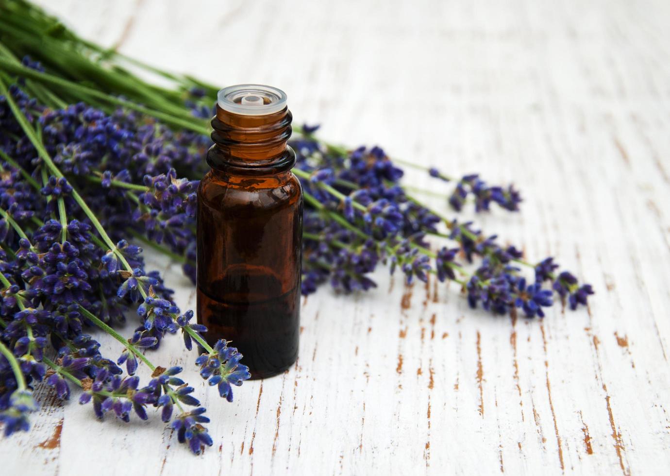 aceite de lavanda con lavanda fresca foto