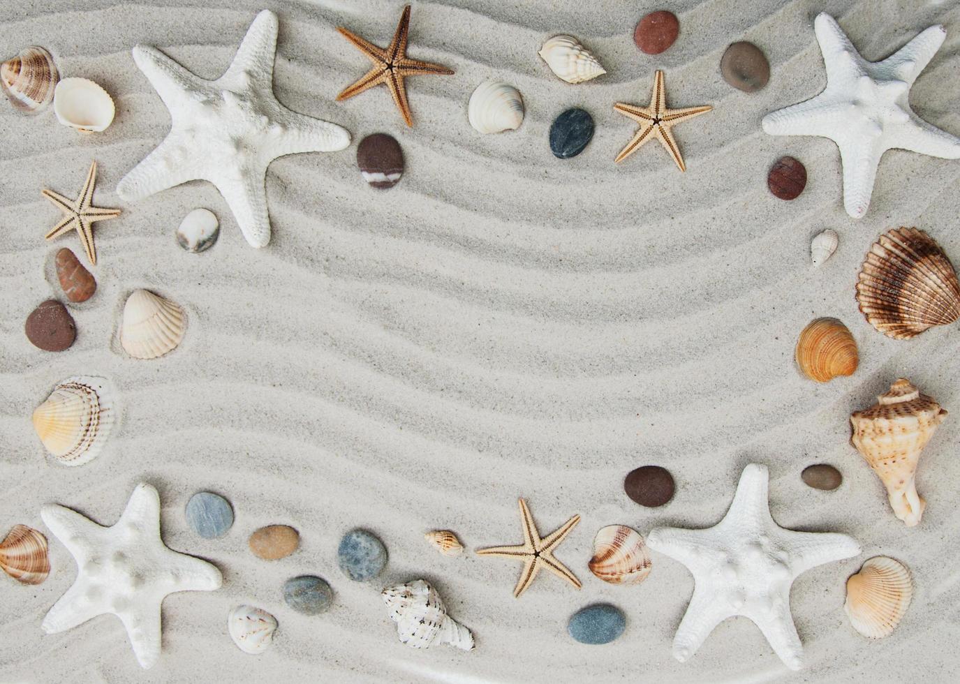 Seashells and starfish border photo