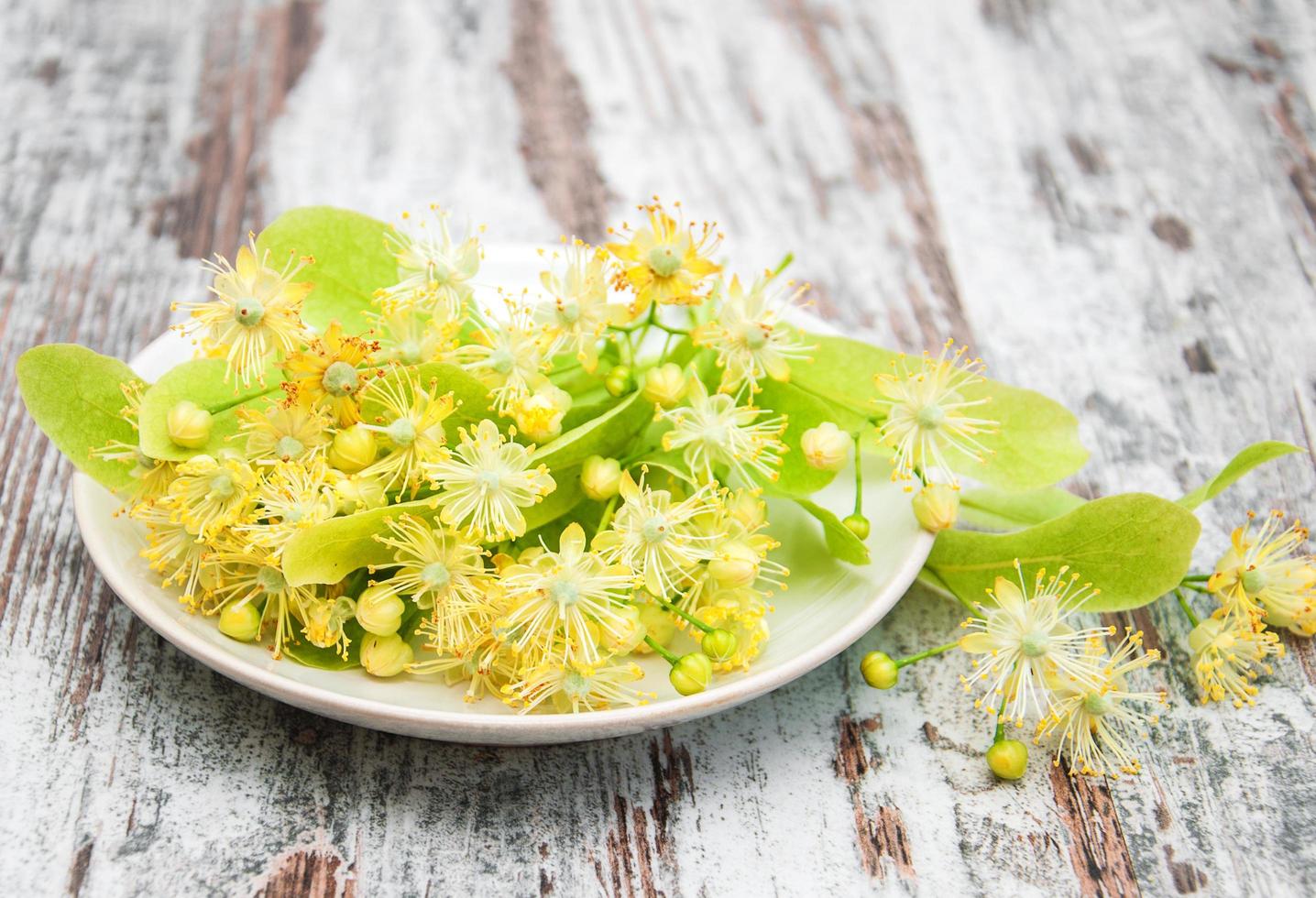 Plate with linden flowers photo