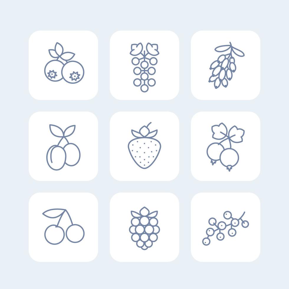 Berries icons set in linear style on white, currant, blueberry, blackberry, cherry, grape, strawberry, barberry, plums vector