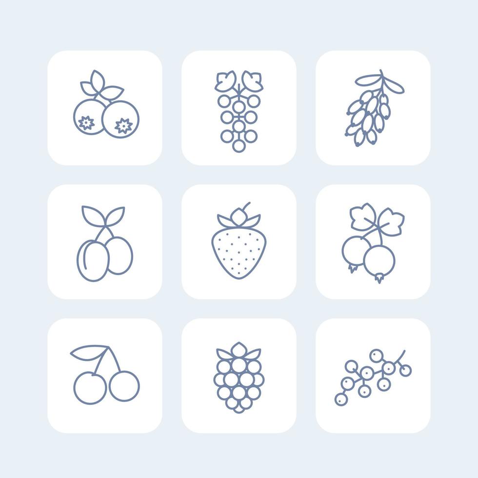 iconos de bayas establecidos en estilo lineal en blanco, grosella, arándano, mora, cereza, uva, fresa, agracejo, ciruelas vector