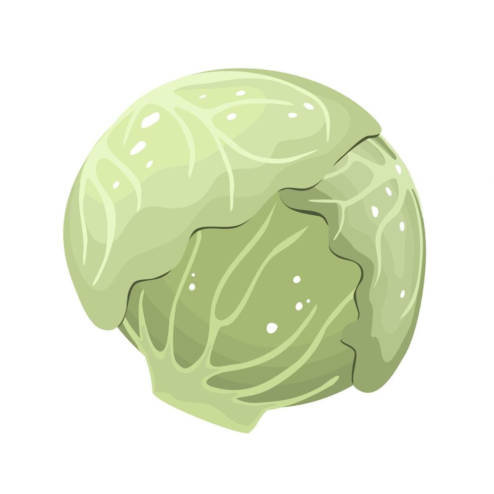 vector de dibujos animados de lechuga iceberg de icon.cartoon ilustración vectorial hoja de lechuga. ilustración aislada icono de hoja de ensalada.