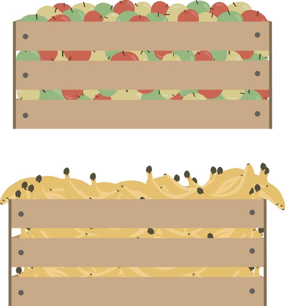 caja de madera con manzanas y plátanos. ilustración vectorial vector