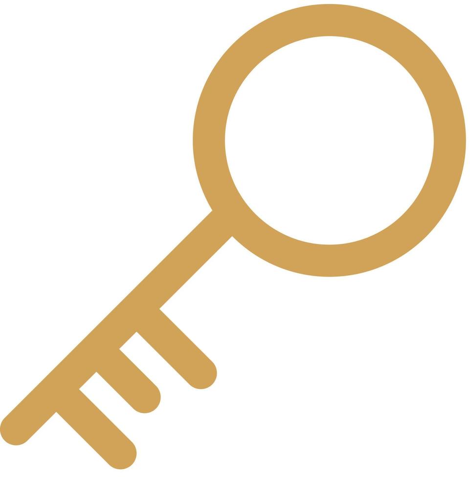 Key Flat Icon vector