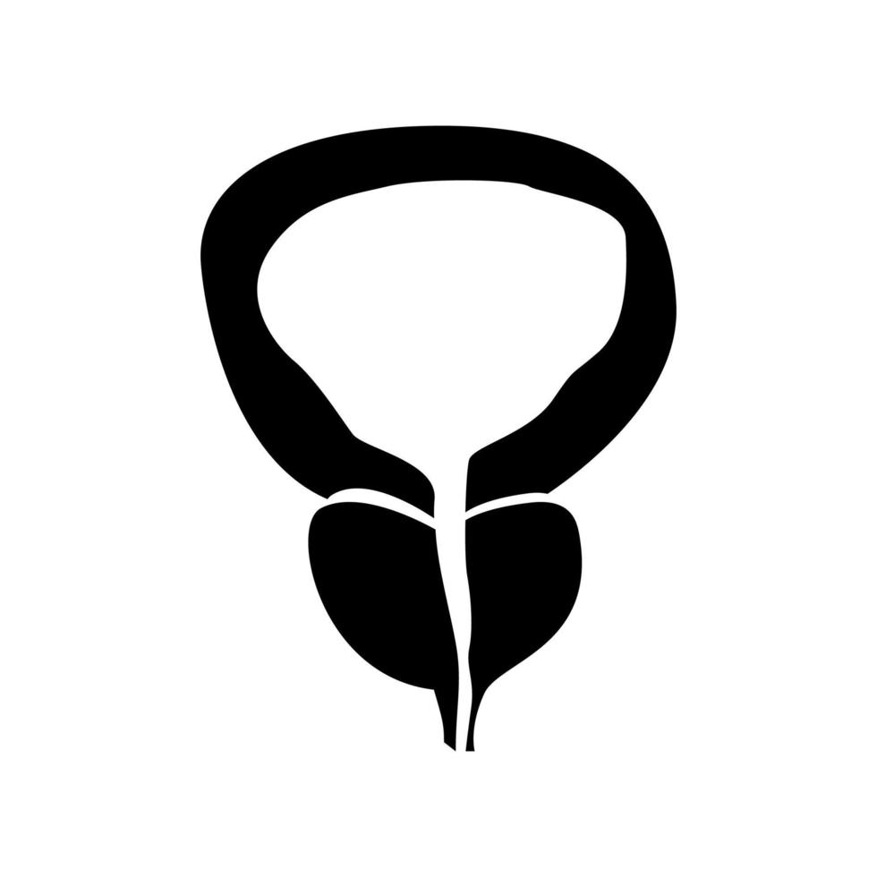 The prostate gland and bladder black color icon . vector