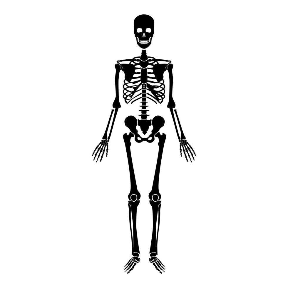 Human skeleton icon black color illustration flat style simple image vector