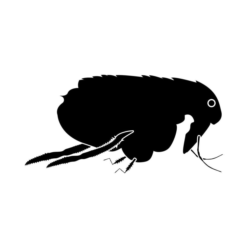 Flea it is black icon . vector