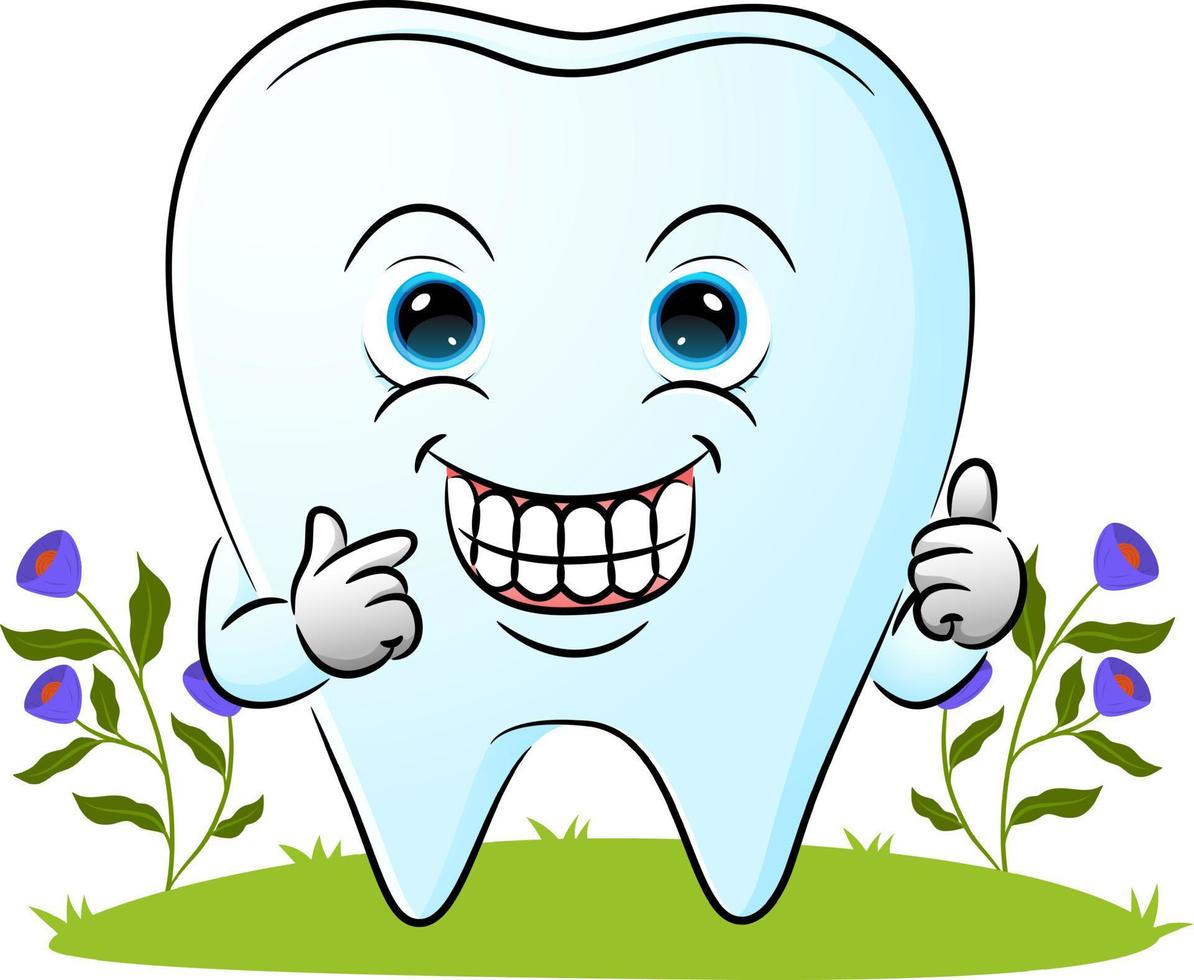 The cute tooth is showing a clean teeth and giving the thumb up vector