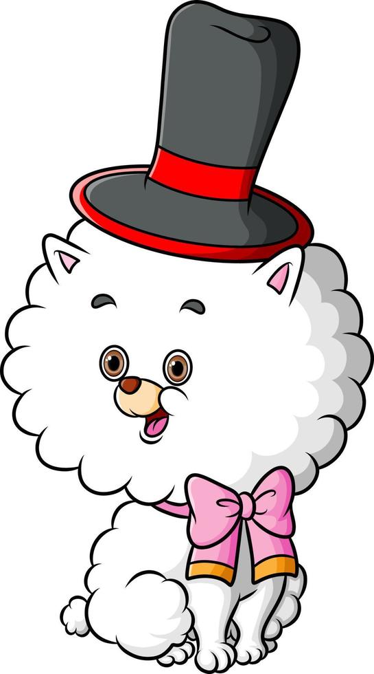 The happy bichon dog is doing the contest and using the magic hat vector